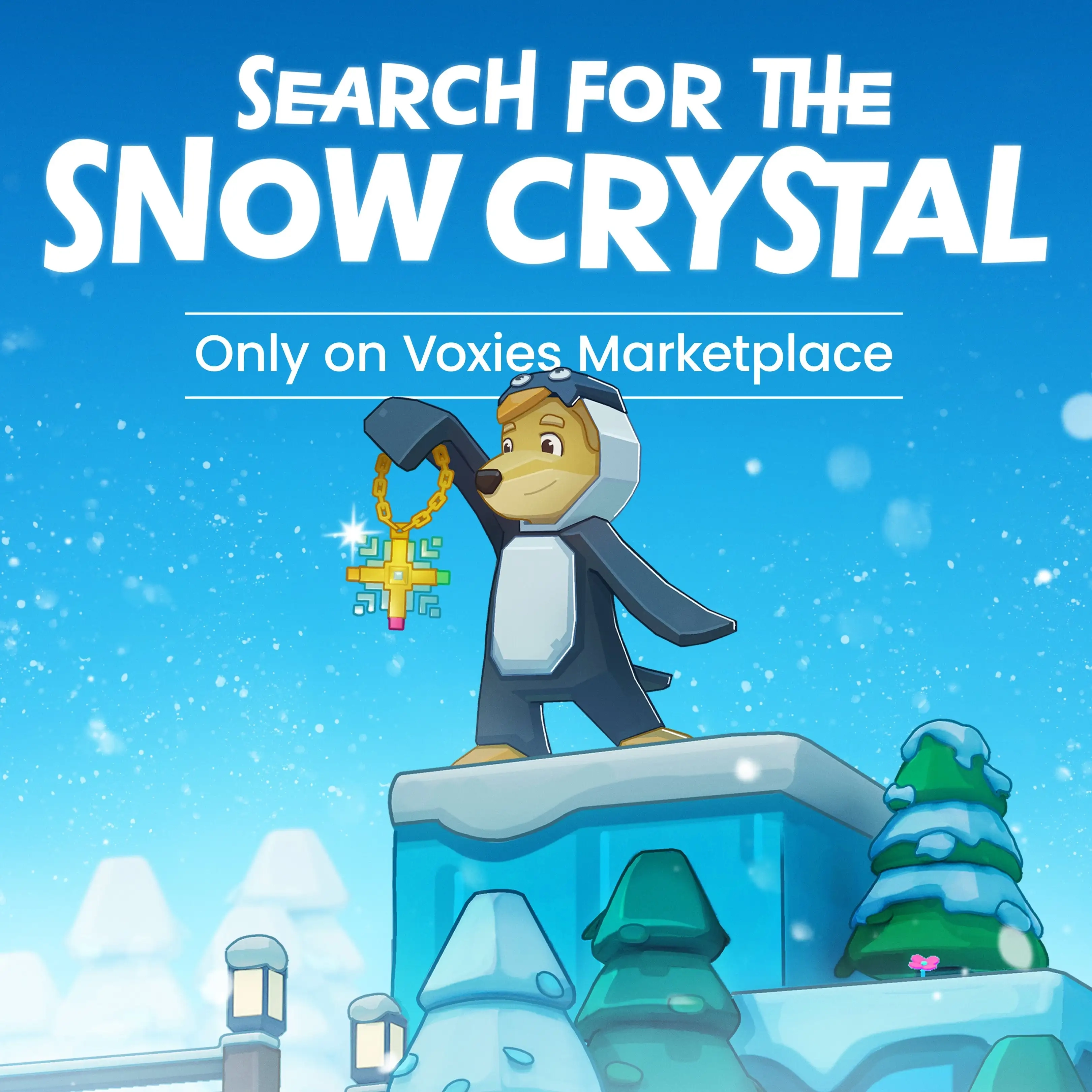 Winter Wonder